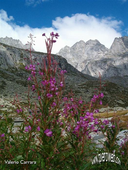 28° Come non si può amare la montagna.jpg